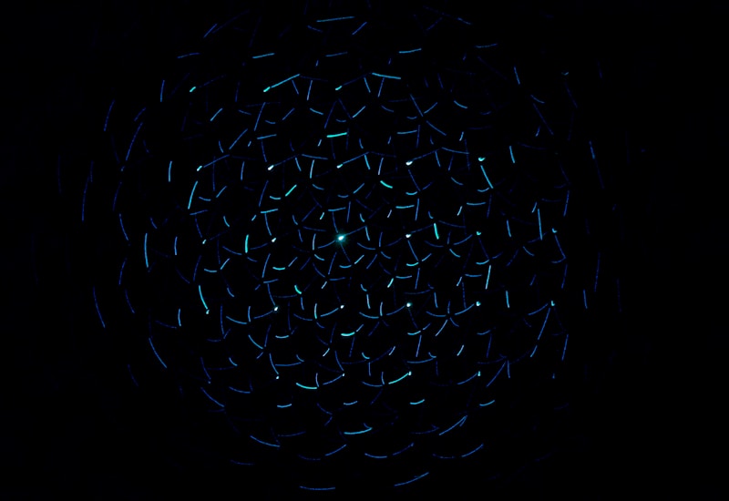 Über SW Autos Click